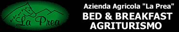 Amarcord Bologna B&B