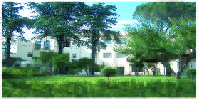 Cinque M S.r.l
