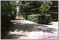 Camping Maratea