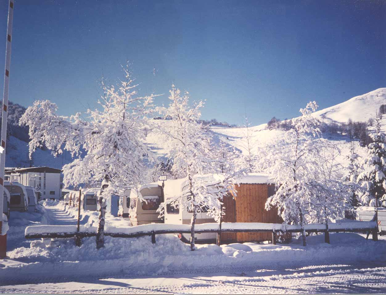 Camping Ciclamino