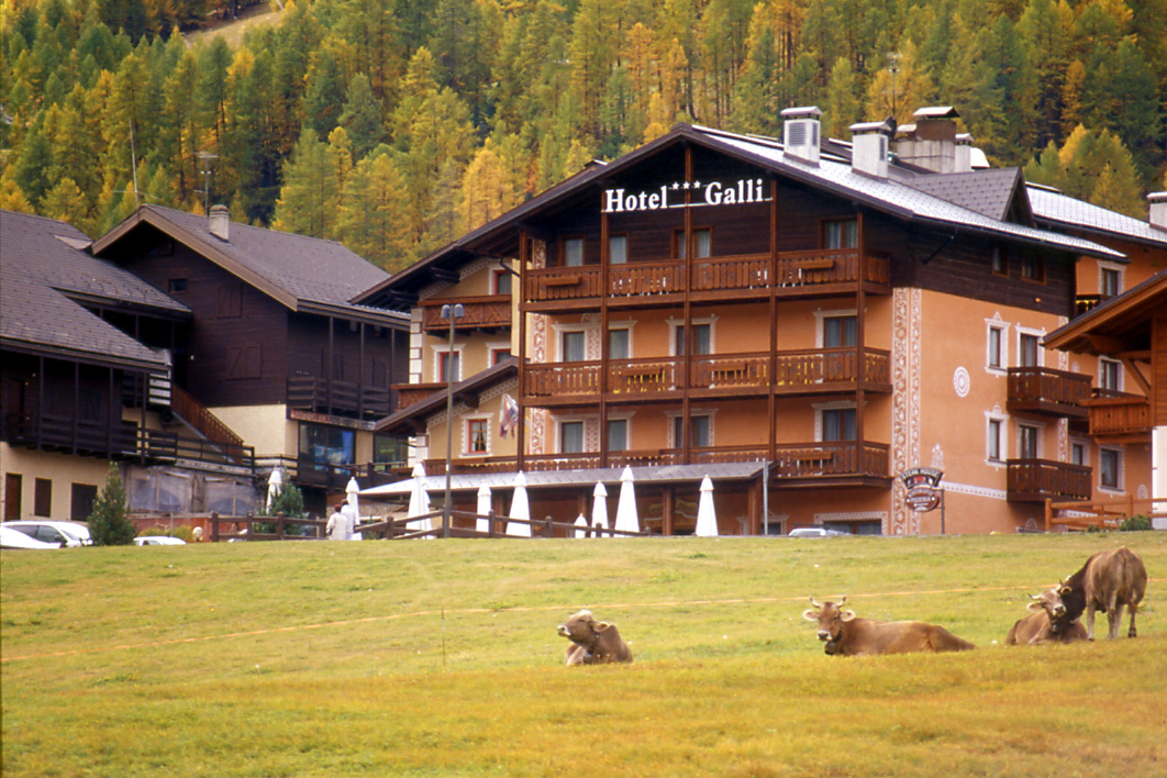 Hotel Galli