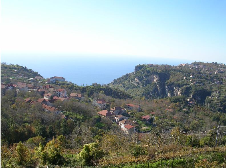 Agriturismo Il Castagno