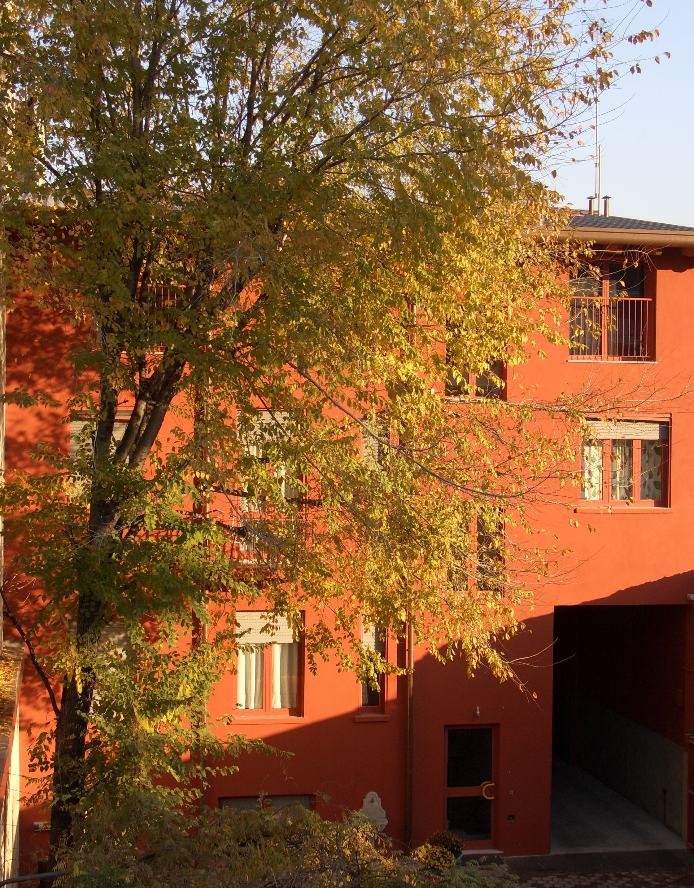 B&b Il Girasole Di Negruzzi N.