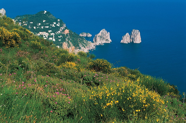 Alle Ginestre Capri Bed & Breakfast