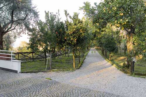 Pasquale D'esposito
