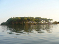 Albachiara B&b