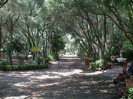 Camping San Fantino