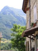 Consorzio Marche Verdi / Hospitimarcae