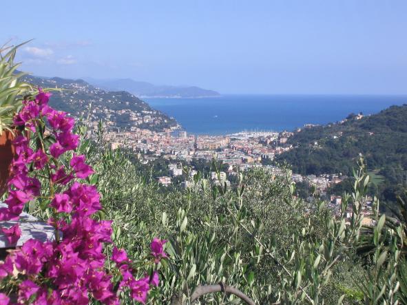 Agriturismo Sognando Villa Edera Di Pagano Rosanna