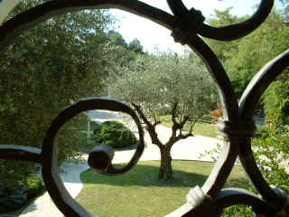 La Villa degli Ulivi