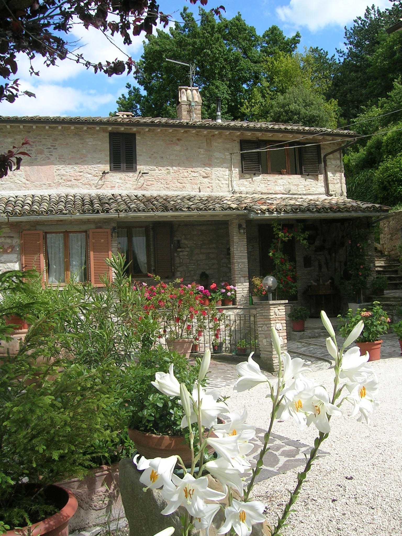 La Terrazza Del Subasio Bed&breakfast