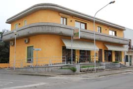 Tronci Sandro