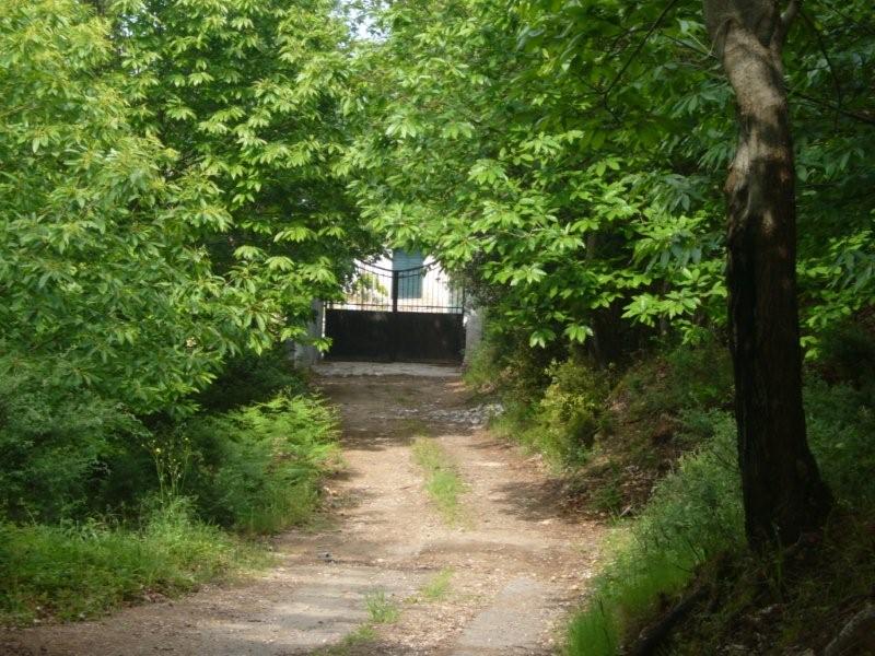 B&B Piana Del Ponte