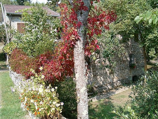 Antico Mulino