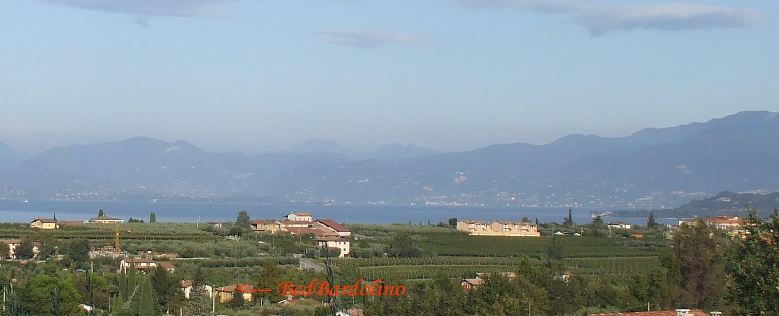 BedBarolino
