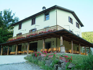 Cooperativa Grisciano