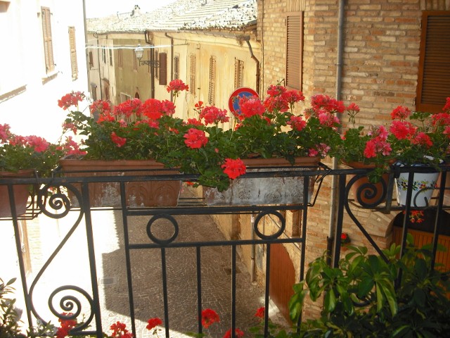 Country-House Villa Geminiani