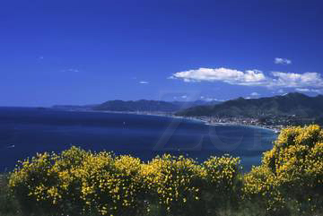 Hotel Mediterranée