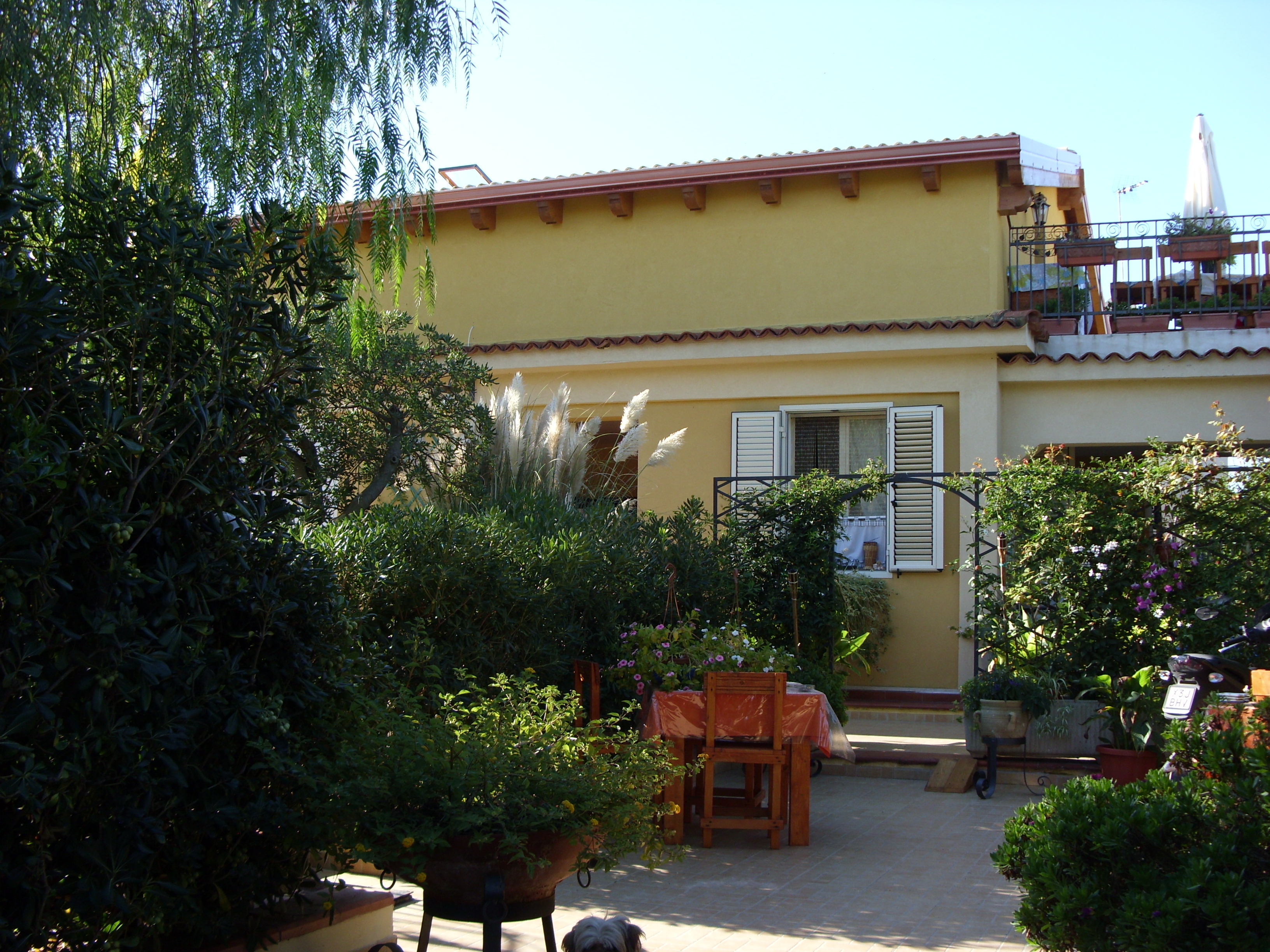 B&B Ansise