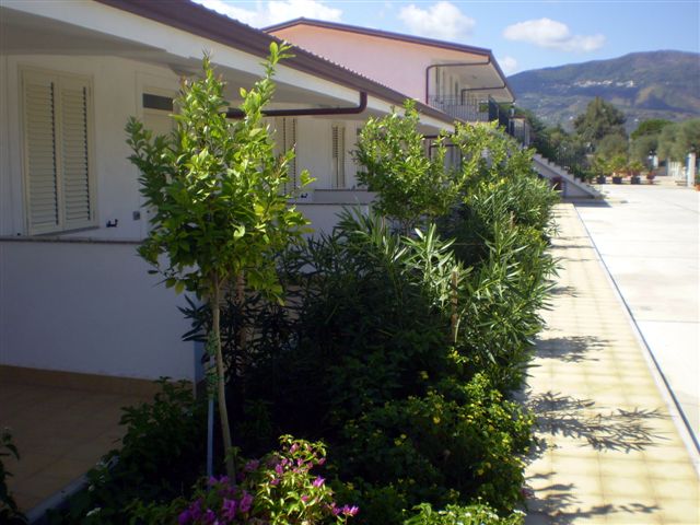 Mediterraneo S.a.s. Di Lembo Antonino