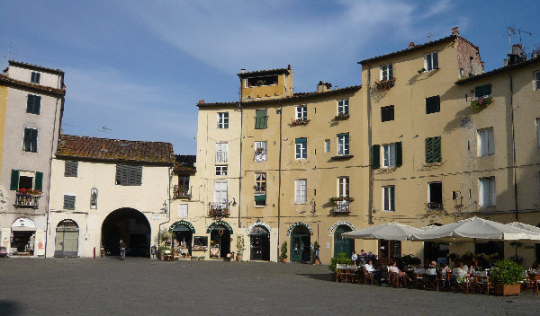 Mlf Di Matteucci Luca E C.