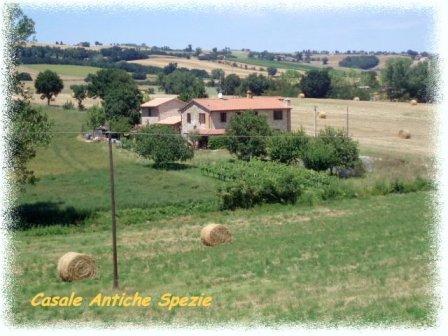 B&B Antiche Spezie
