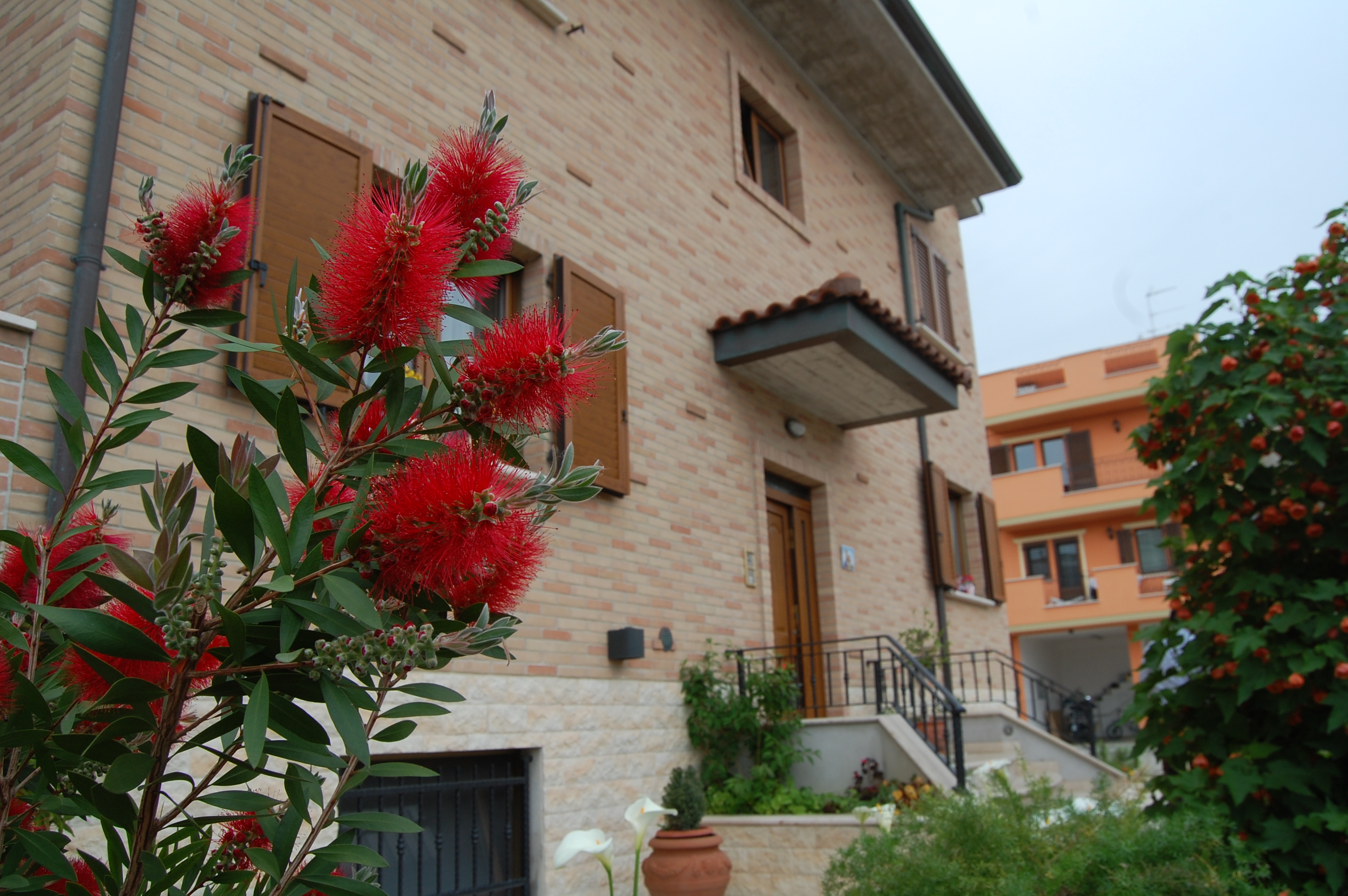 B&B La Tartaruga