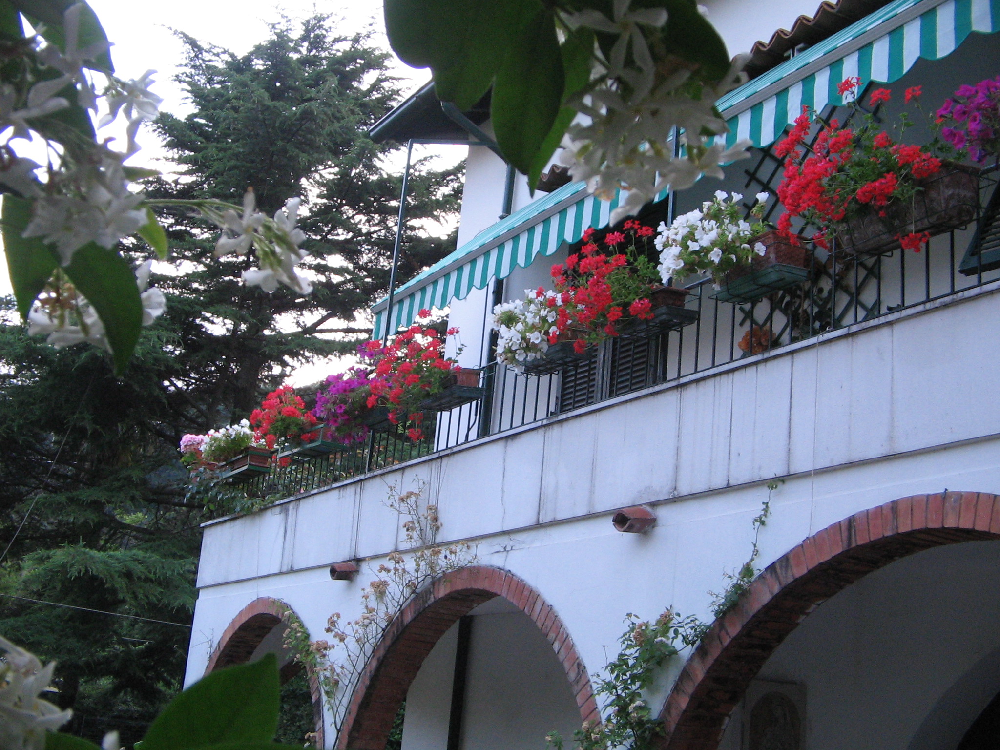 B&B Notti Magiche