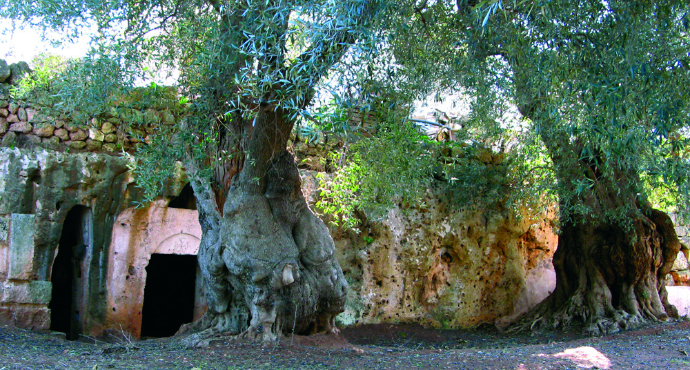 Giannoccaro Giovanni