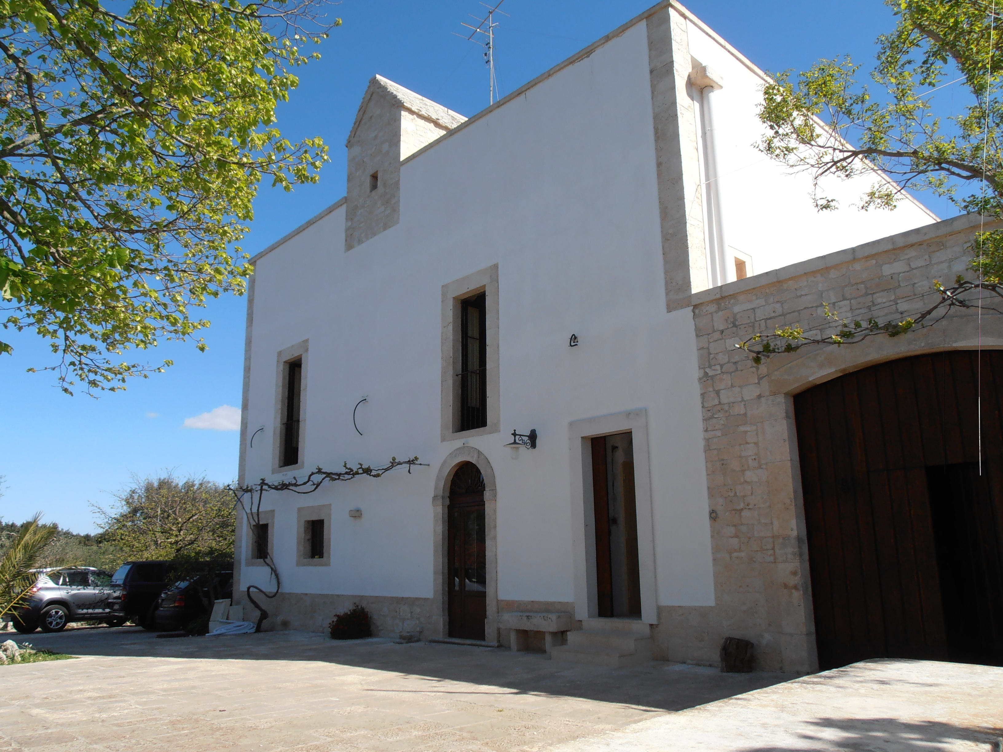 Angela Netti