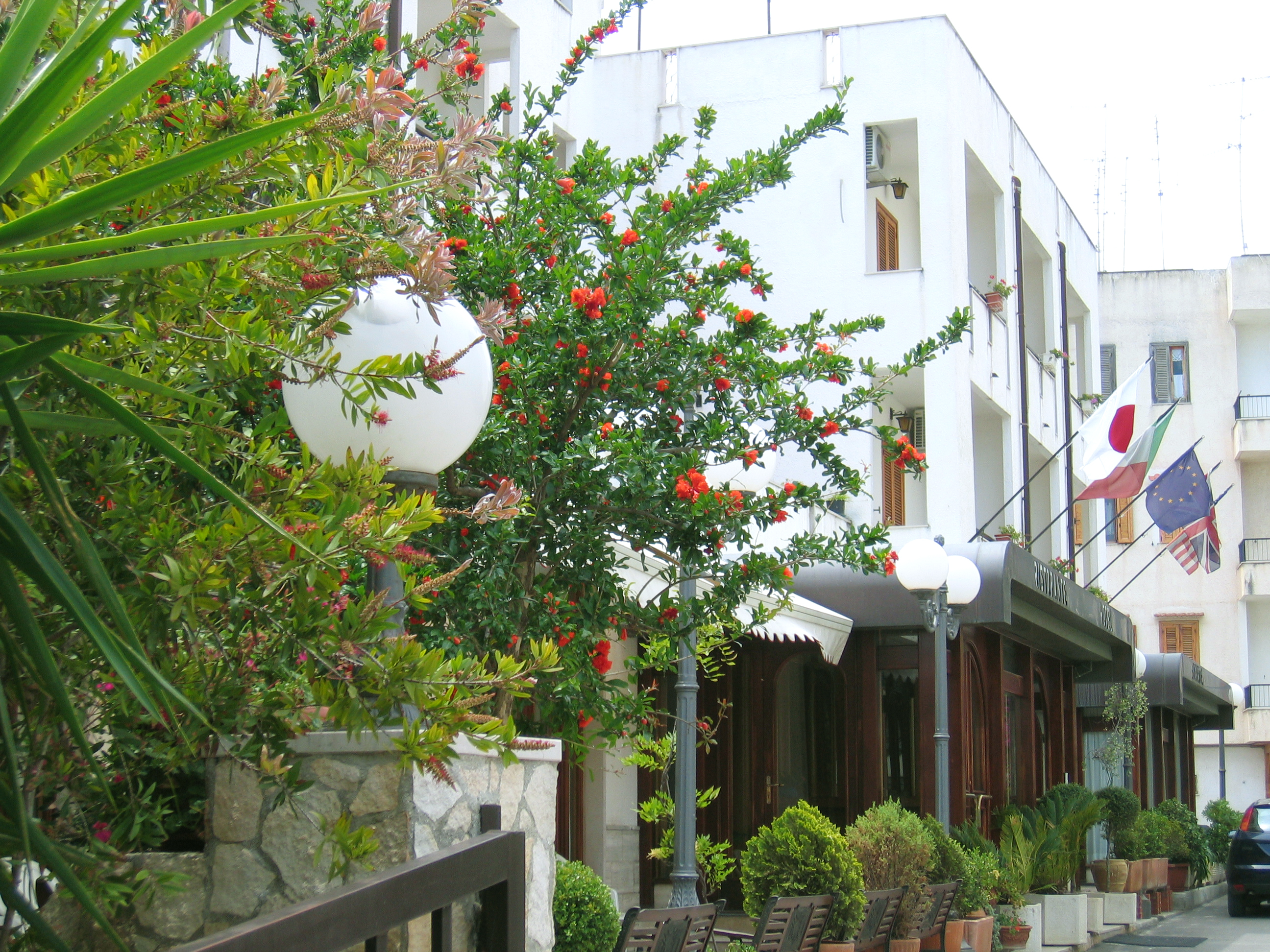 Hotel Apeneste