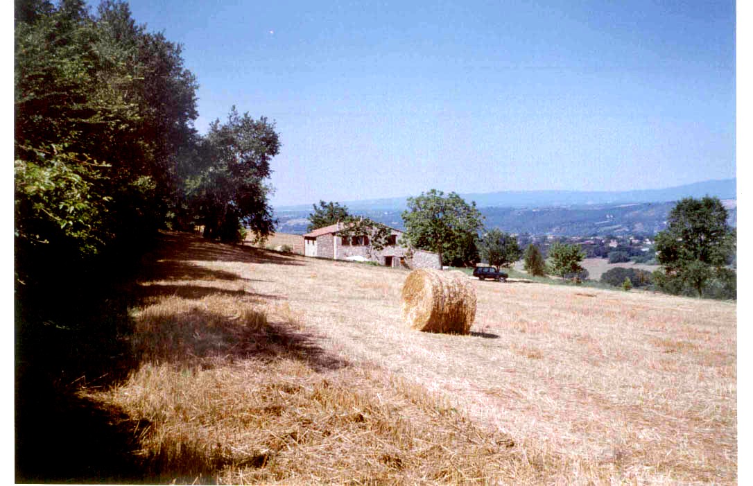 Masini Elena
