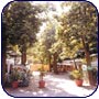 Panorama Village & Camping