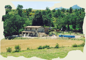 Villa Rosa