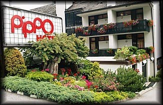 Private Room – Pippo Hotel - Hotel a Terzolas