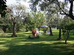 B&B Gli Olivi - Foto 3