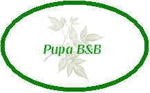 Habitación privada – Pupa B&B - Foto 3