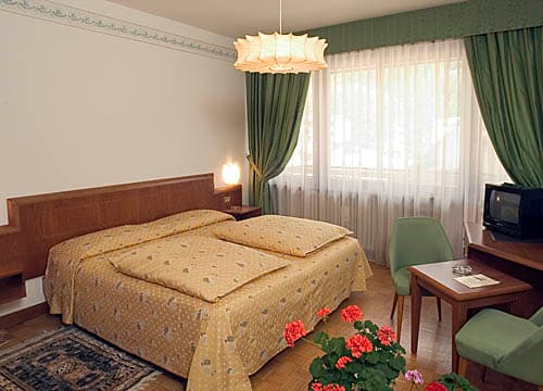 Hotel Milano - Hotel a Pinzolo
