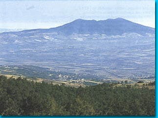 Apartamento de 2 piezas – Parco Naturale Camping Europa - Foto 3