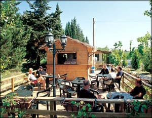 Panorama Camping Toscana Colliverdi - Foto 3