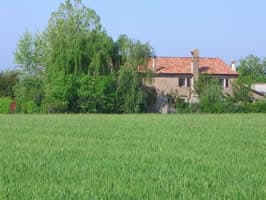 B&B il Tulipano - Foto 2