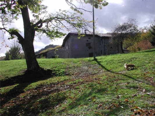 La Piana dei Castagni - Foto 4
