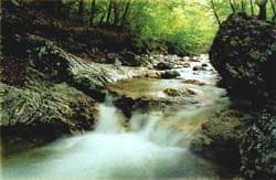 Camping Le Foci - Foto 3