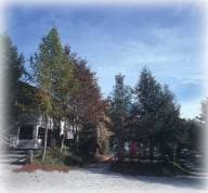 Camping Hermitage - Foto 4