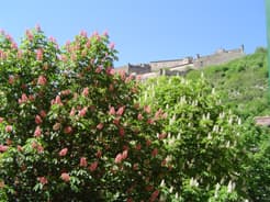 Al Castello - Foto 3