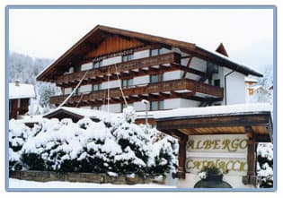 Hotel Catinaccio - Hotel a Vigo di Fassa