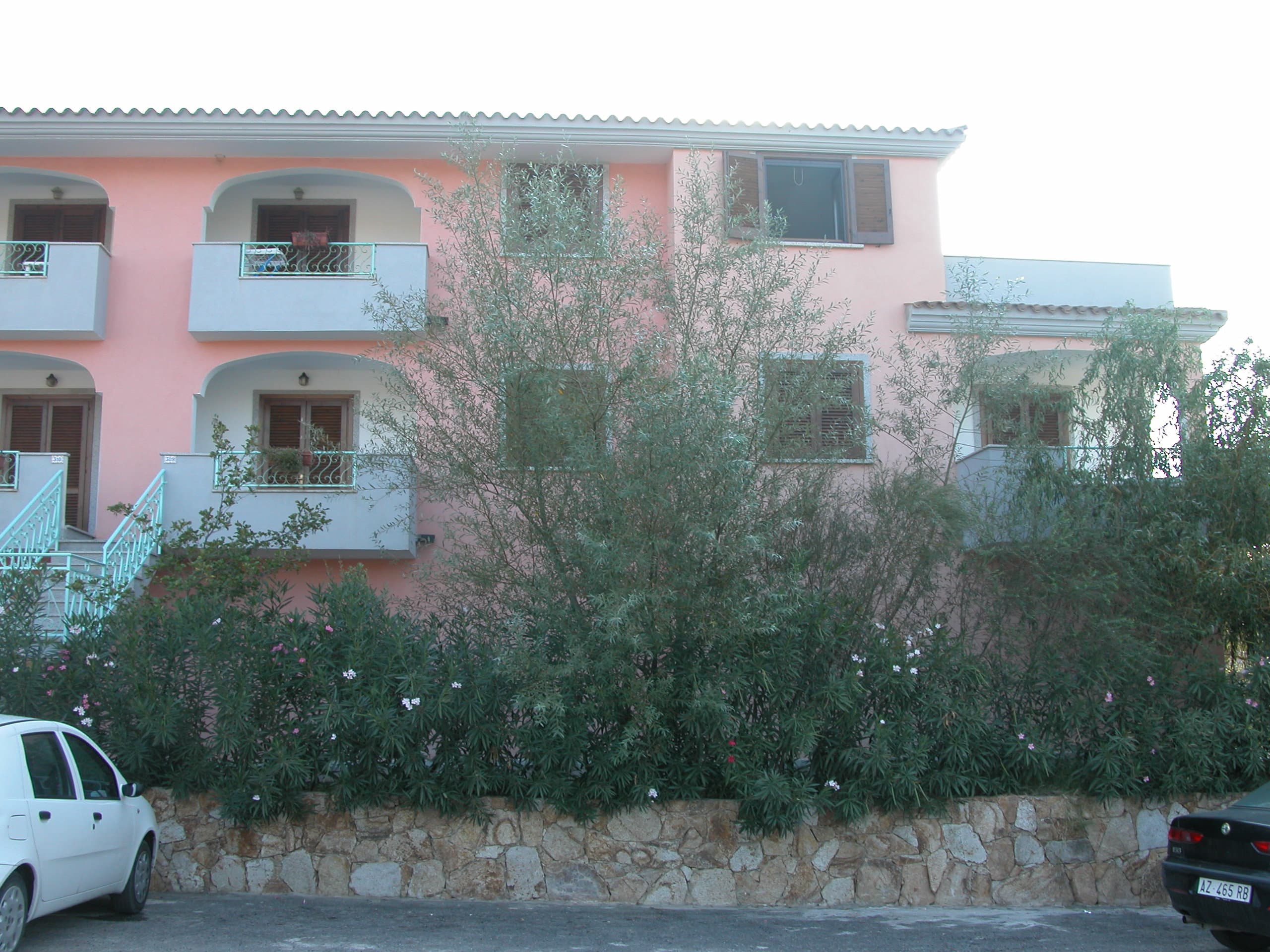 Apartamento de 2 piezas – Cala Liberotto - Foto 3