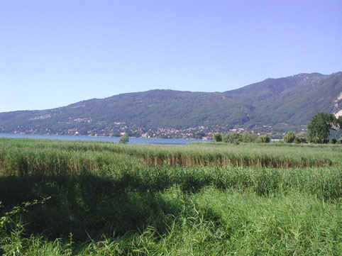 Hôtel Ristorante Lido Angera - Foto 3