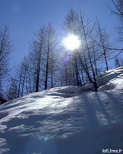 2-Room Apartment – Sestriere Residence - Foto 3