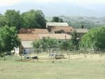 2-Room Apartment – New Green Valley - Foto 4